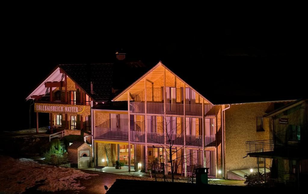 N Apartments Hotel Schoppernau Bagian luar foto
