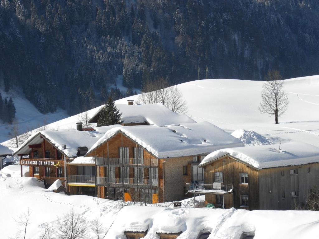 N Apartments Hotel Schoppernau Bagian luar foto
